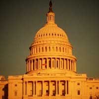 The Capitol Building in Washington DC